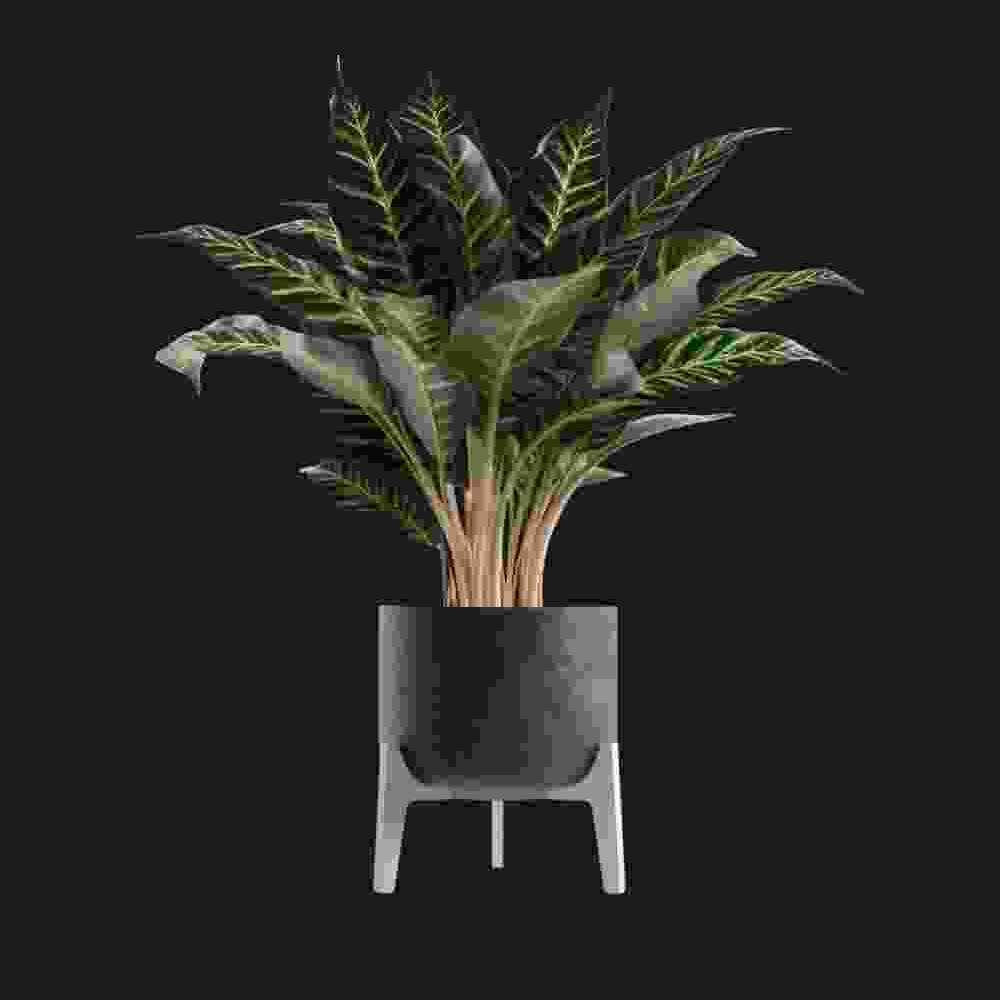 Shop Primary Image Shop Primary Image