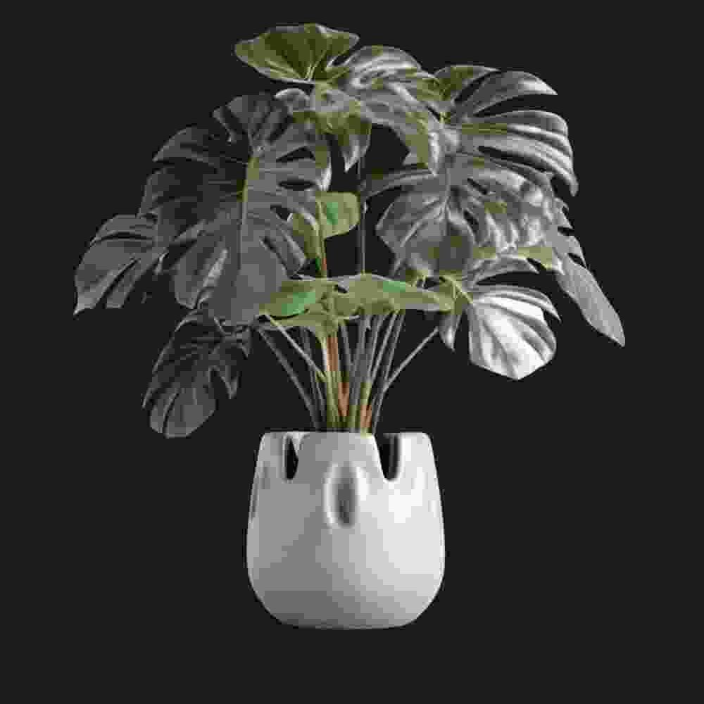 Shop Secondary Image