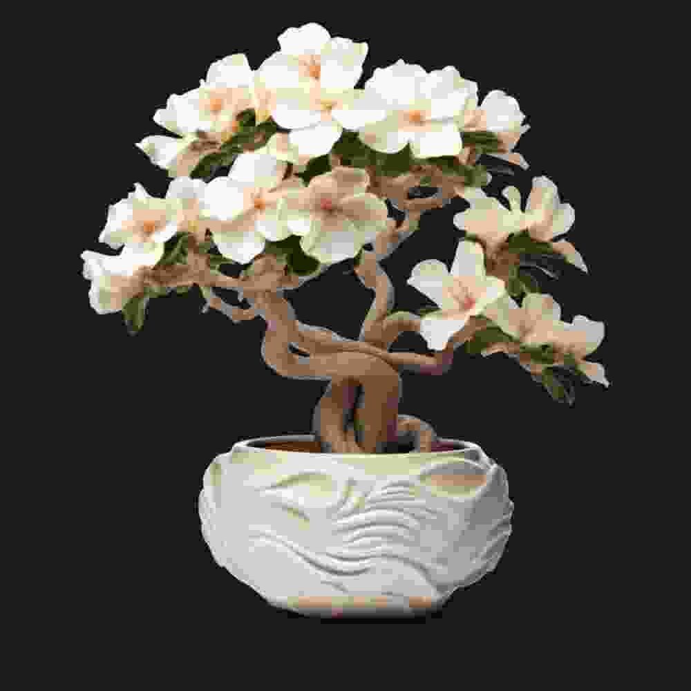 Shop Primary Image Shop Primary Image